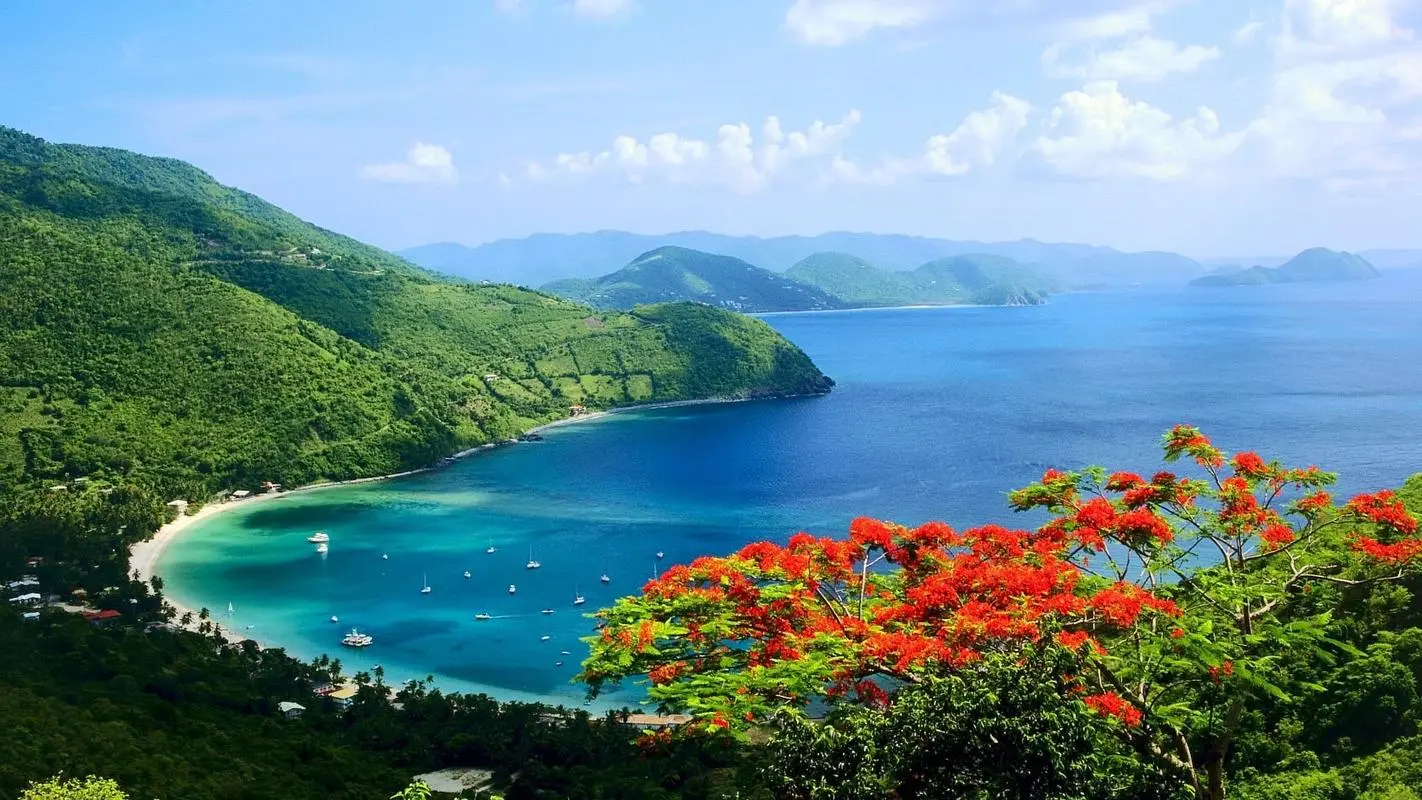 高性能科技绿色